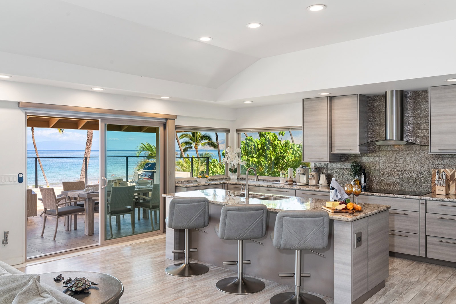 Gourmet kitchen and living area