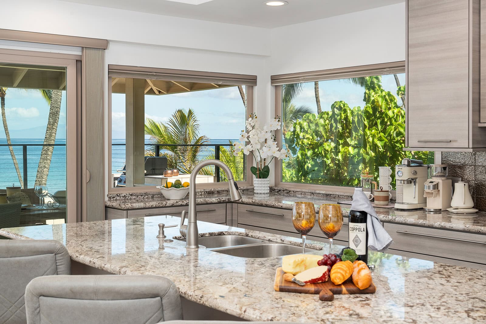Gourmet kitchen and living area