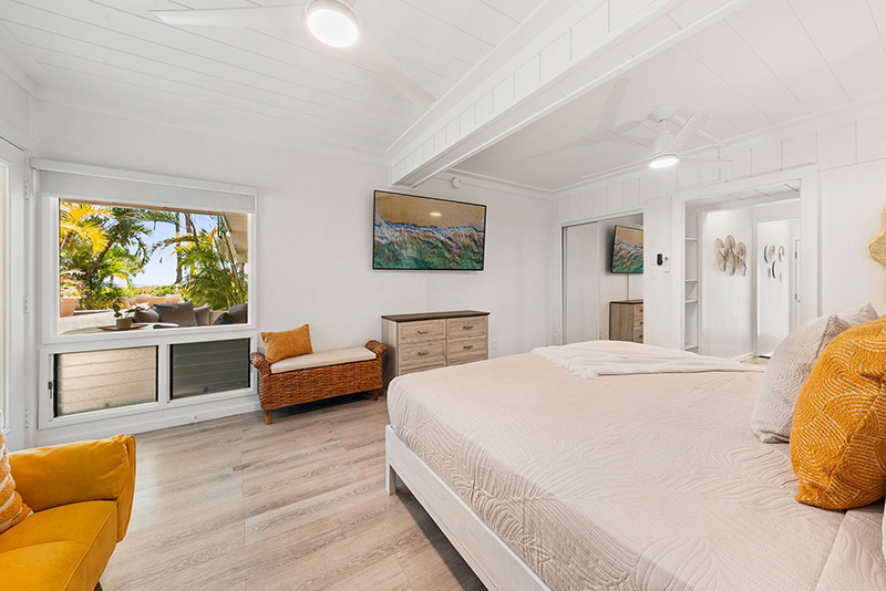 Ginger Studio Suite